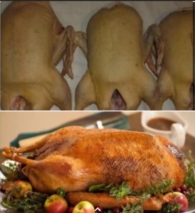 Продам тушки гуся и утки.
