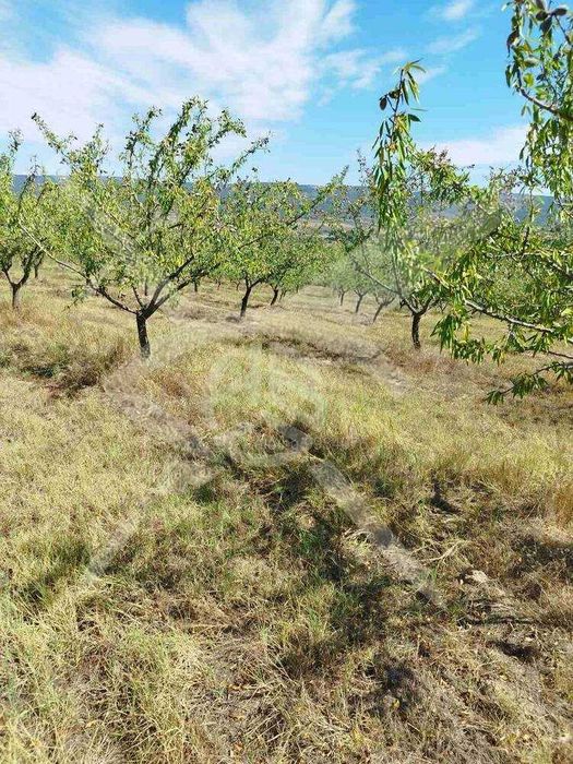 Парцел в село Страцин 73934