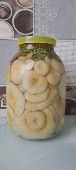 Соленые грибы грузди