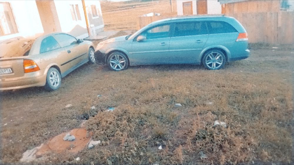 Schimb pe oi sau vaci