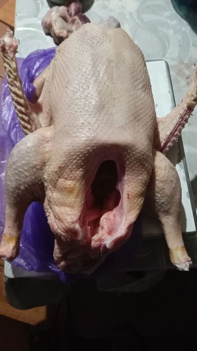 Продаю тушки гусей