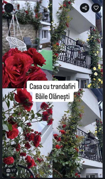 Revelion BAILE OLANESTI Casa cu trandafiri