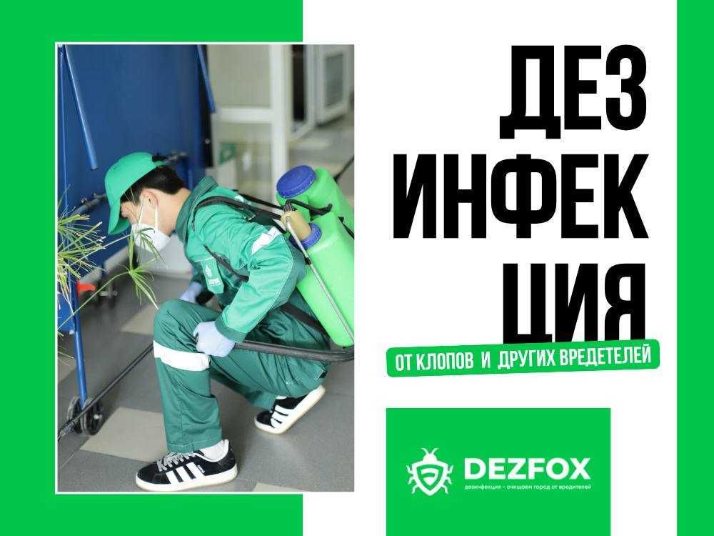 Дезинфексия Уничтожение Клопов Обработка От Тараканов Крыс Мышей Вши