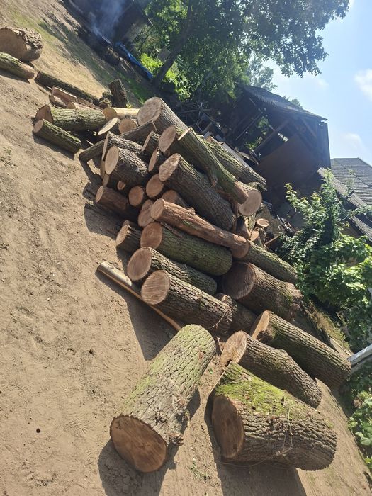 Vand lemne uscate si verzi 0️⃣7️⃣7️⃣3️⃣3️⃣2️⃣3️⃣9️⃣1️⃣7️⃣