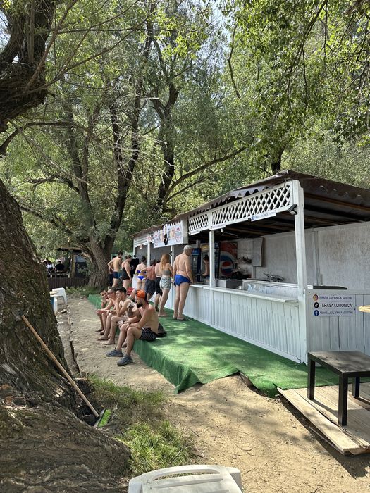 Sezlonguri•gratare•dozator bere•friteose inox•terasa