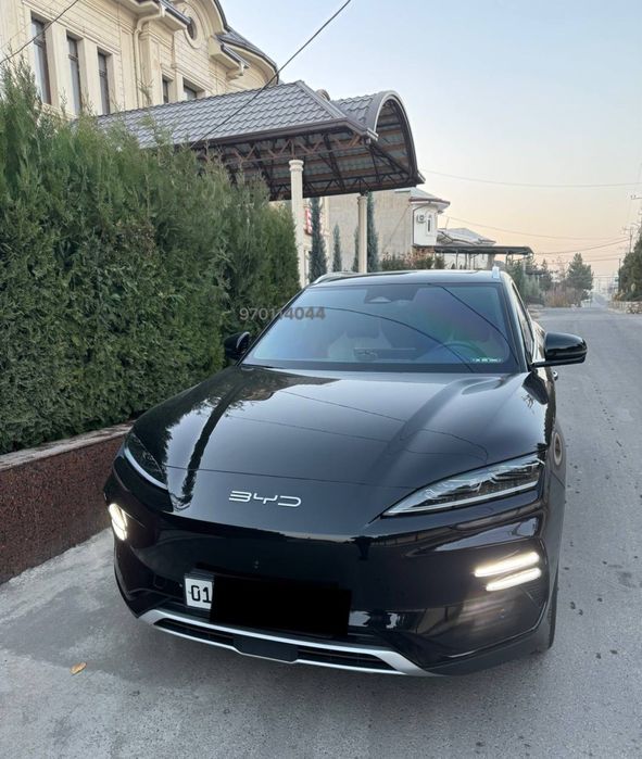 Byd champion 2024 Honor,full chempion,chempion,чемпион,сонг плюс,bivay