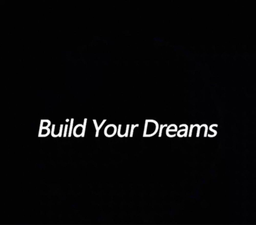 Дверная проекция BYD