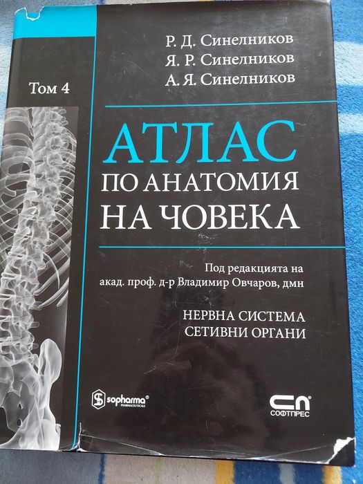 Атлас по анатомия на човек, том 4, Синелников