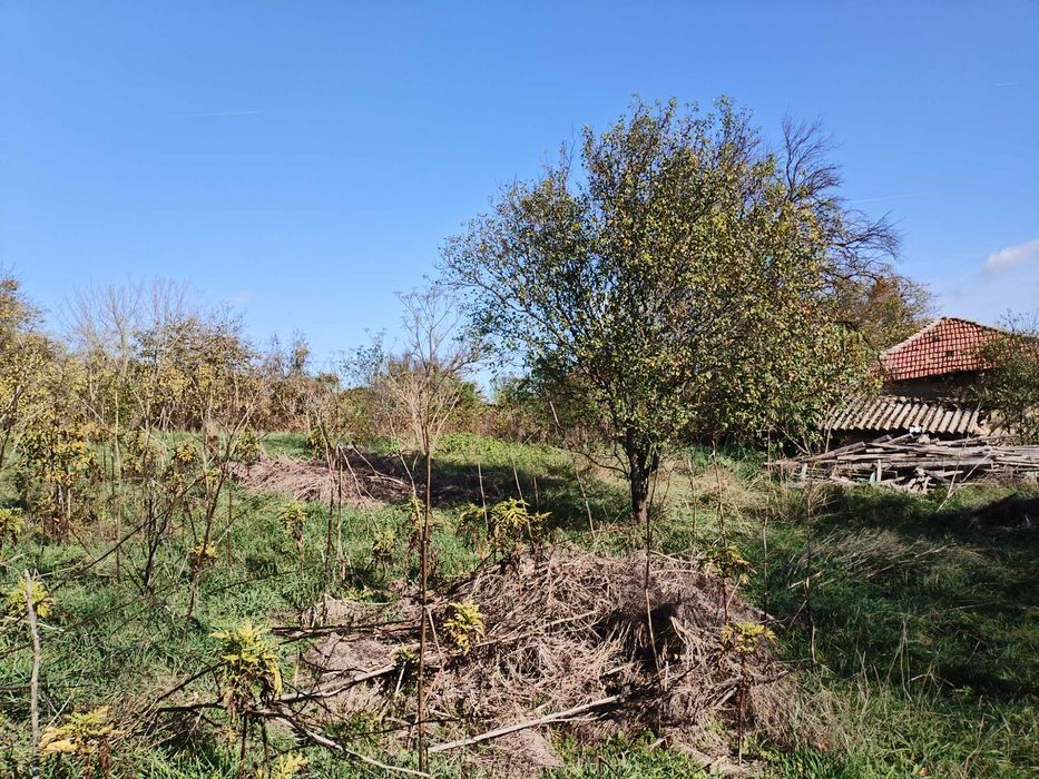 Имот с къща в С. Ягнило, Варна 30 000 Евро