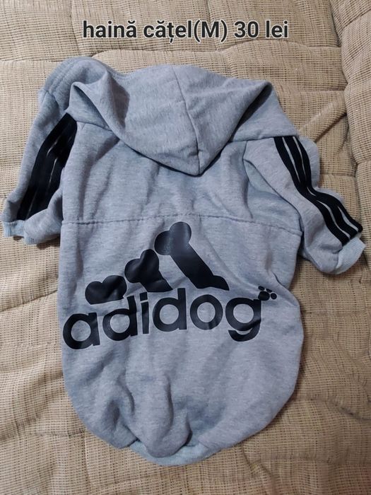 Ham,haine,lesă câini