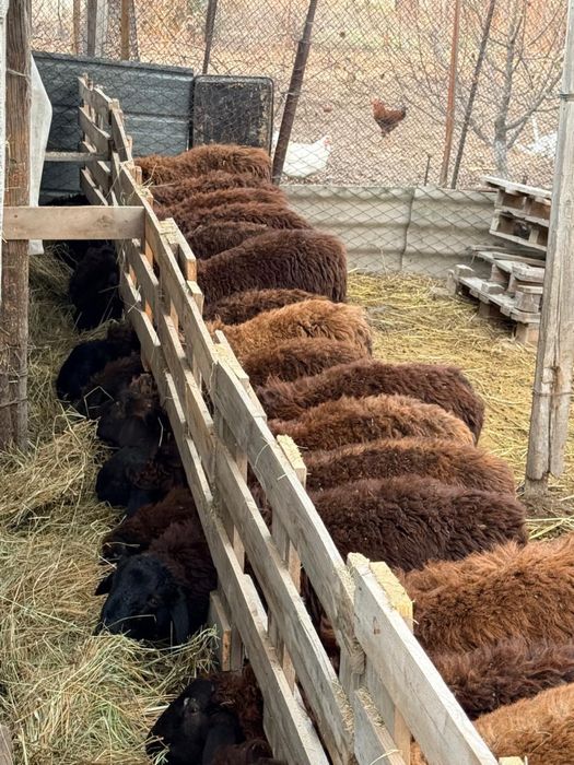 Срочно продается