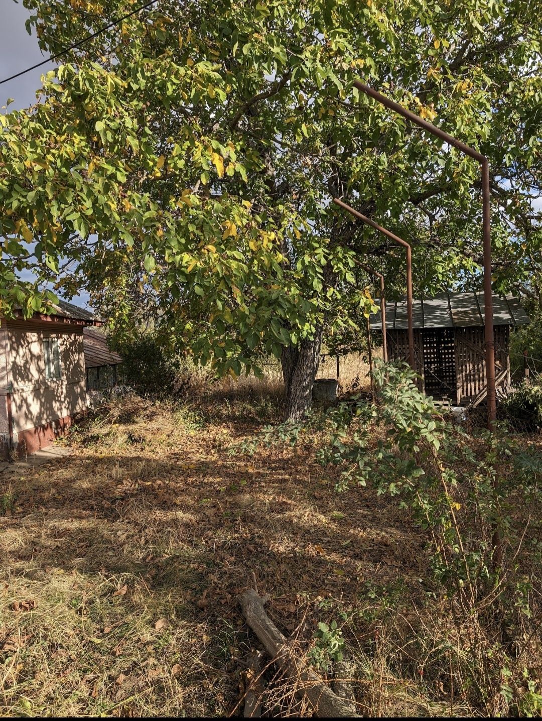 Teren de vânzare   +  casă bătrânească
