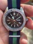 Citizen promaster diver