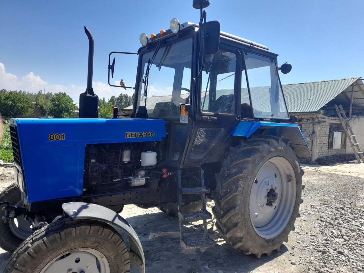 Traktor  Belarus 80.1