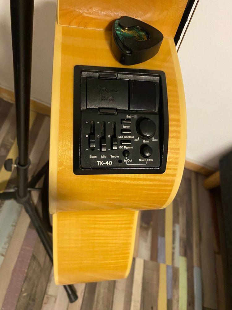 Chitara Takamine G-Series