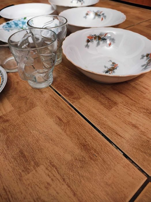 Farfurii cani castron vase farfurie