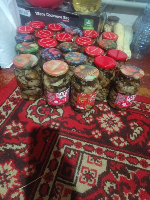 Грибы валуй , маслята