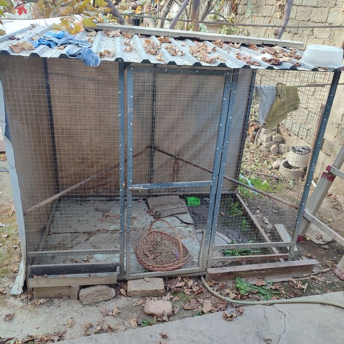 Товуқ катак сотилади. Бошқа хайворларни хам боқса бўлади, катта