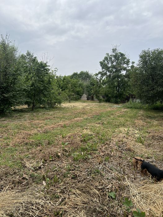 СРОЧНО Продам участок в посёлке Талдыбулак