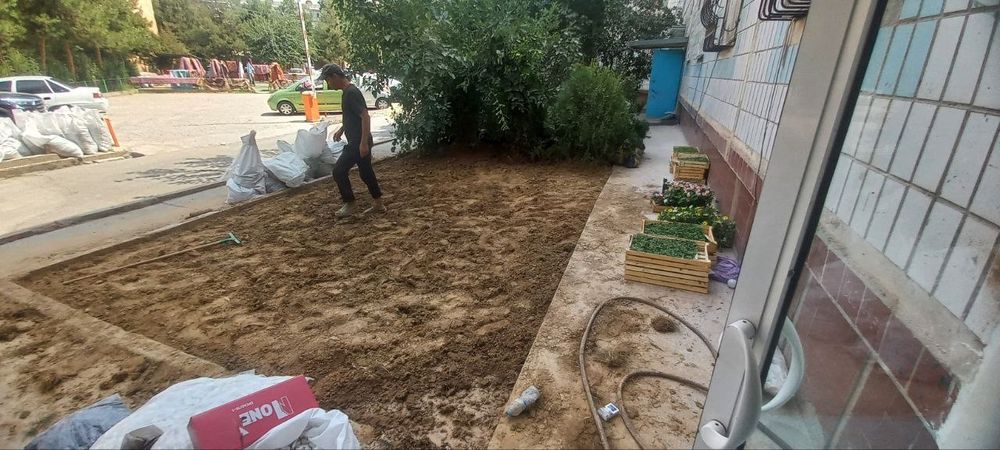 Gazon rulonniy газон рулонные и  посевной