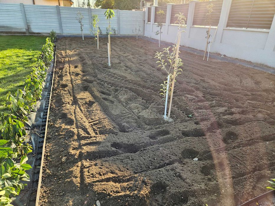 Îngrijire gazon, scarificare, aerare, însămânțare, irigații #Gardenix