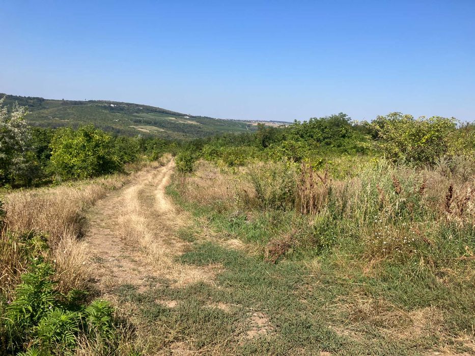 Teren extravilan Sorogari (Iasi)