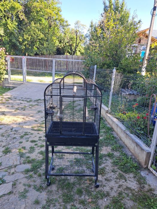 Colivie pentru papagalii