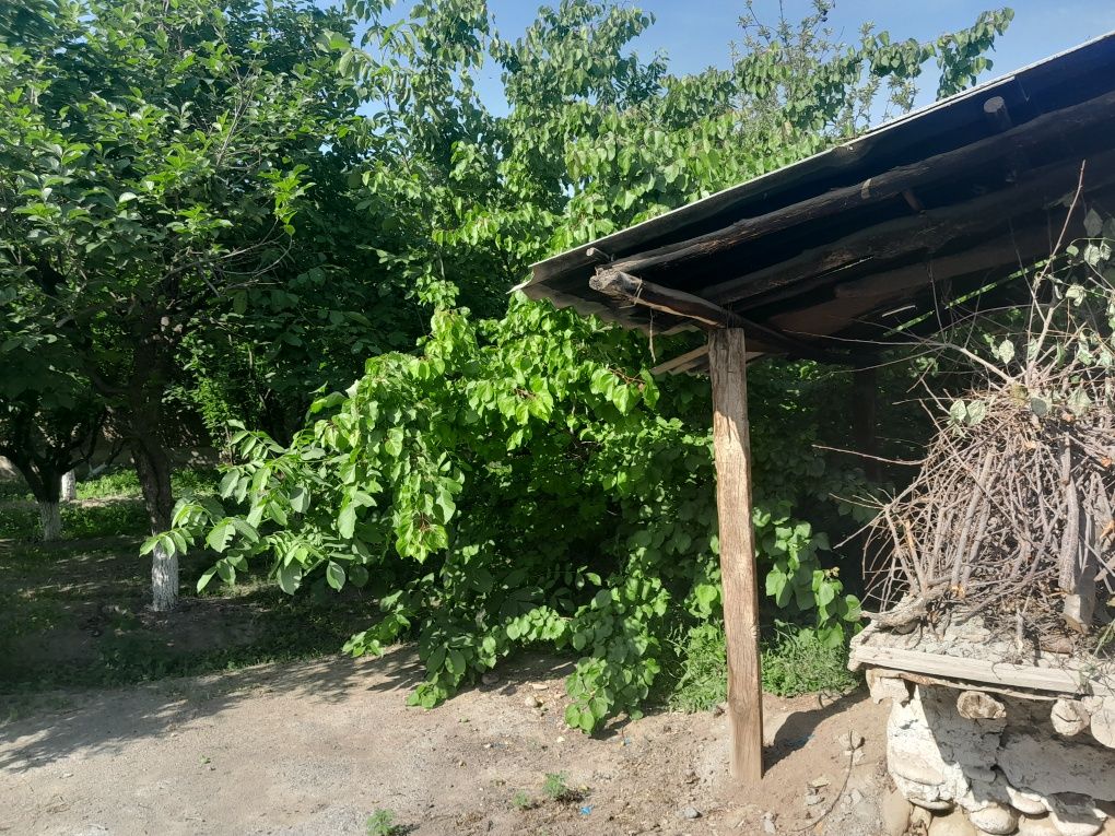Дом на земле дом