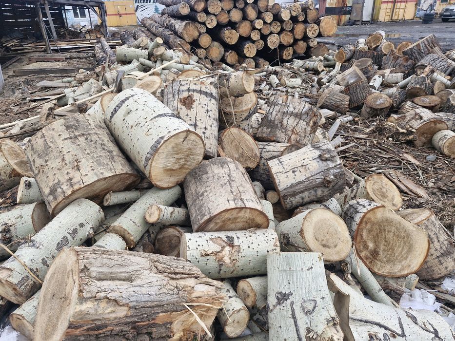 Дрова чурками 16000тг -1 куб