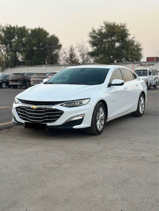 Malibu 2 premier