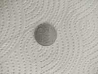 Moneda 5000 lei 2003