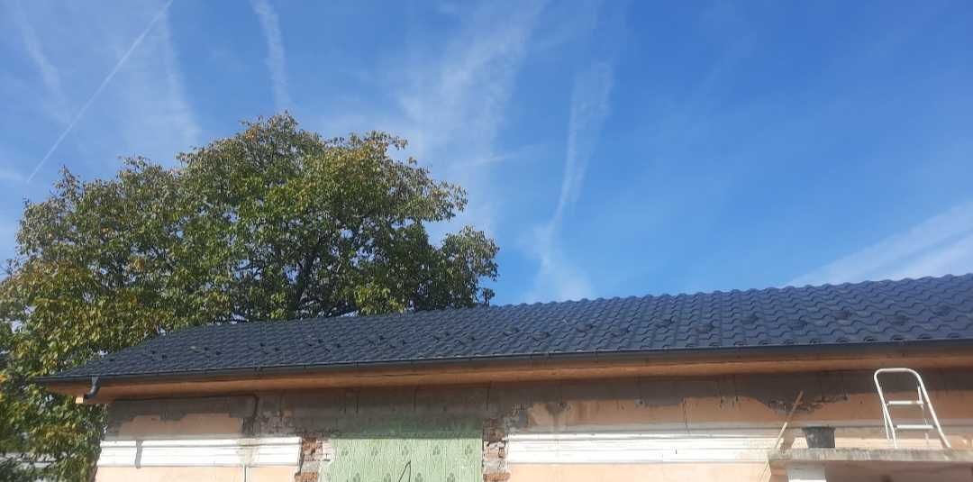 Casa VISINA - OLT, teren 1750 mp - mutare imediata !