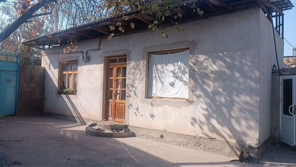 Uy 4 sotik sotigi 30.000