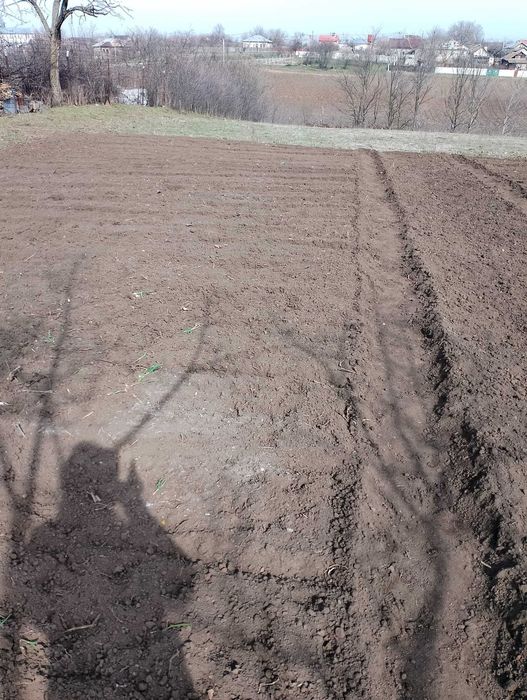 Vând teren intravilan