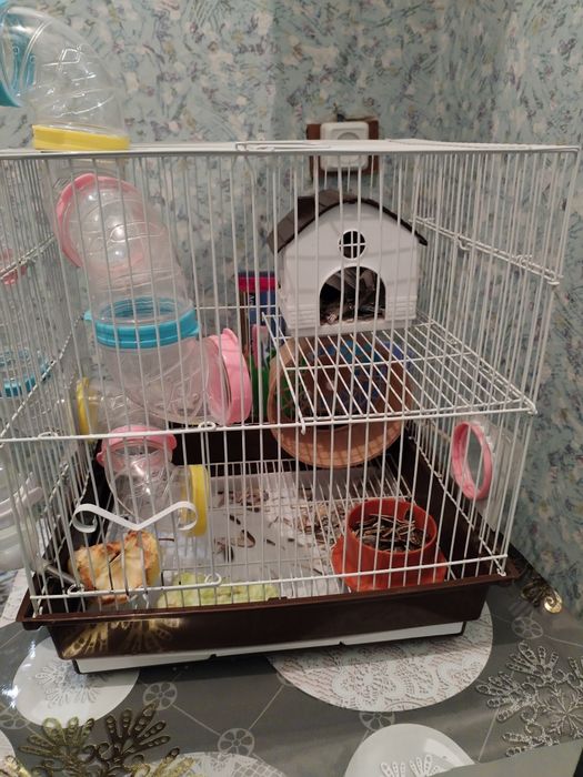 Продам хомяка с клеткой
