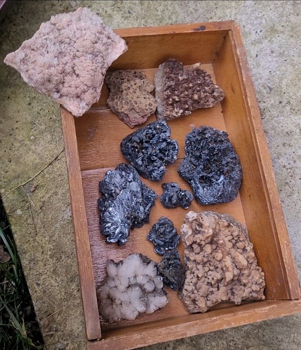 Flori de mină de vânzare