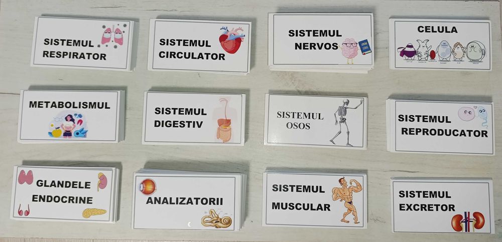 Set Flashcards Corint pe capitole