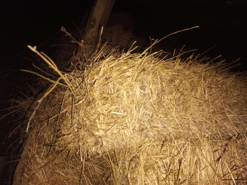 Baloți lucerna și trifoi