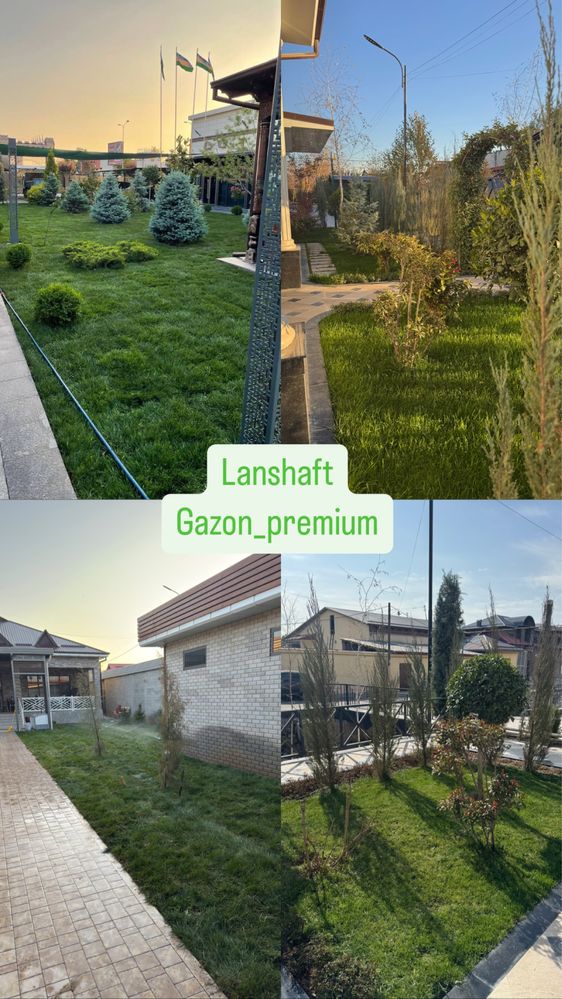 Газон готовый + доставка установка