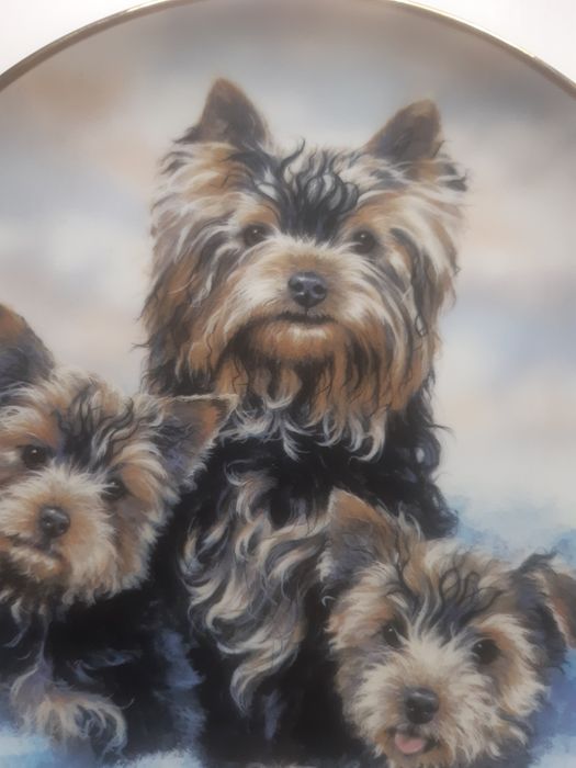 Farfurii decorative,cu certificat de origine