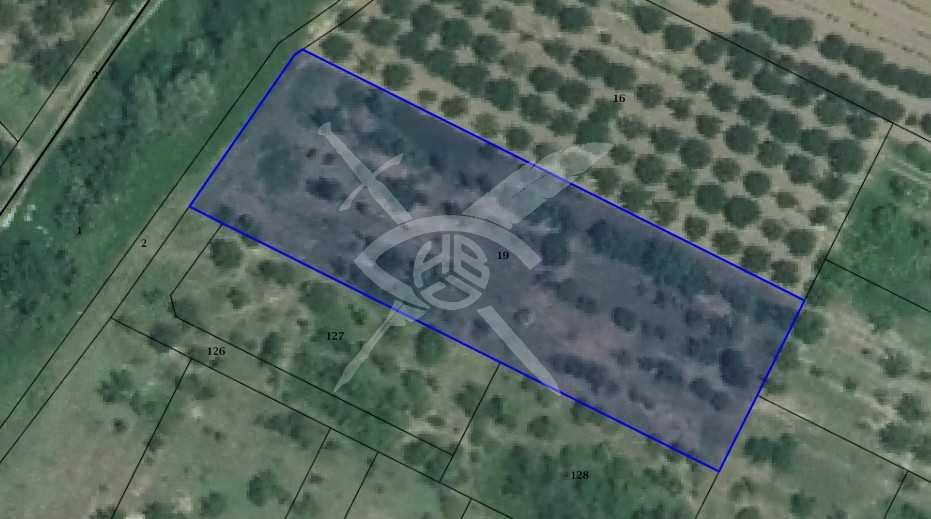 Продава се Парцел в с. Брестник, Област Пловдив - 1350 кв.м за 38 €/кв.м - Снимка #2