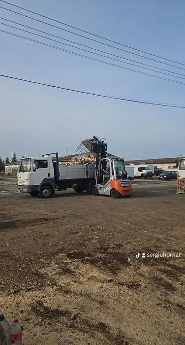 Lemn de foc Fag – Tăiat si crăpat, livrare rapidă