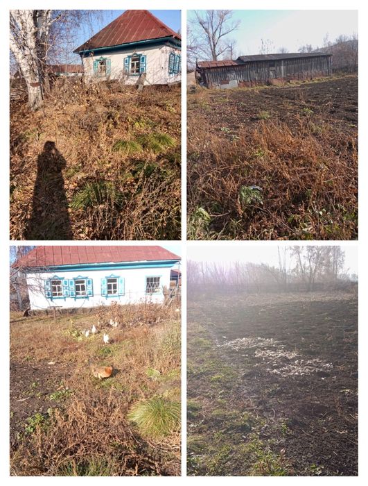 Продам дом в п.Зубовск, рн Алтай(Зыряновск)