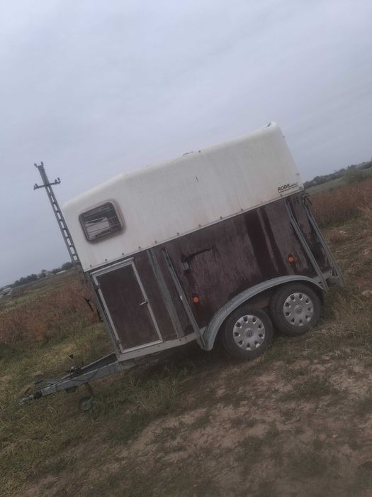 Vand remorca de cai modelul xxl