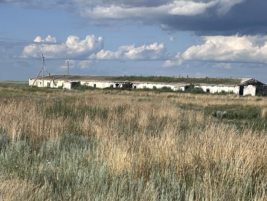 Продам ферму срочно