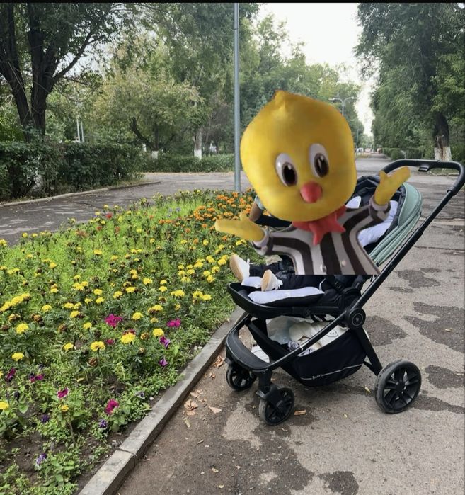 Коляска от фирмы Rant