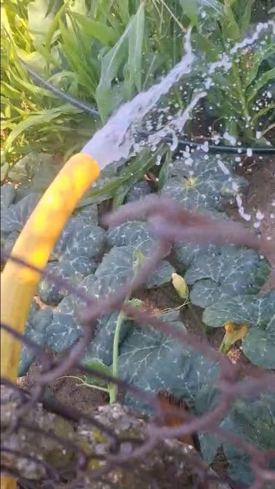 Почистване на нови и стари сондажи с еърлифт