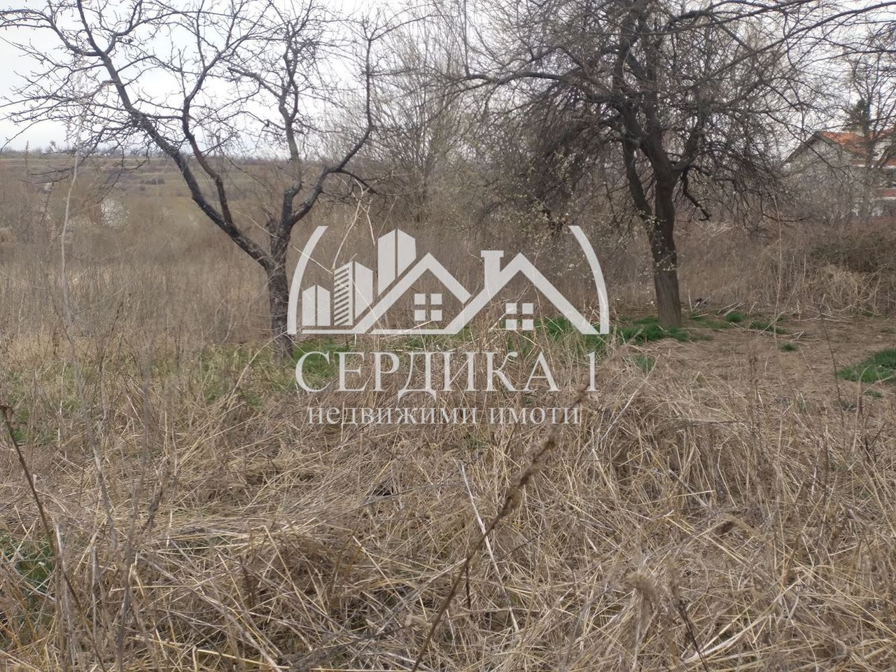 Продава се Парцел в с. Крайници, Област Кюстендил - 1145 кв.м за 22 €/кв.м - Снимка #3