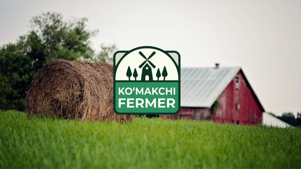 Sizga ham logo kerak, to‘g‘rimi? | Вам тоже нужен логотип, правда?