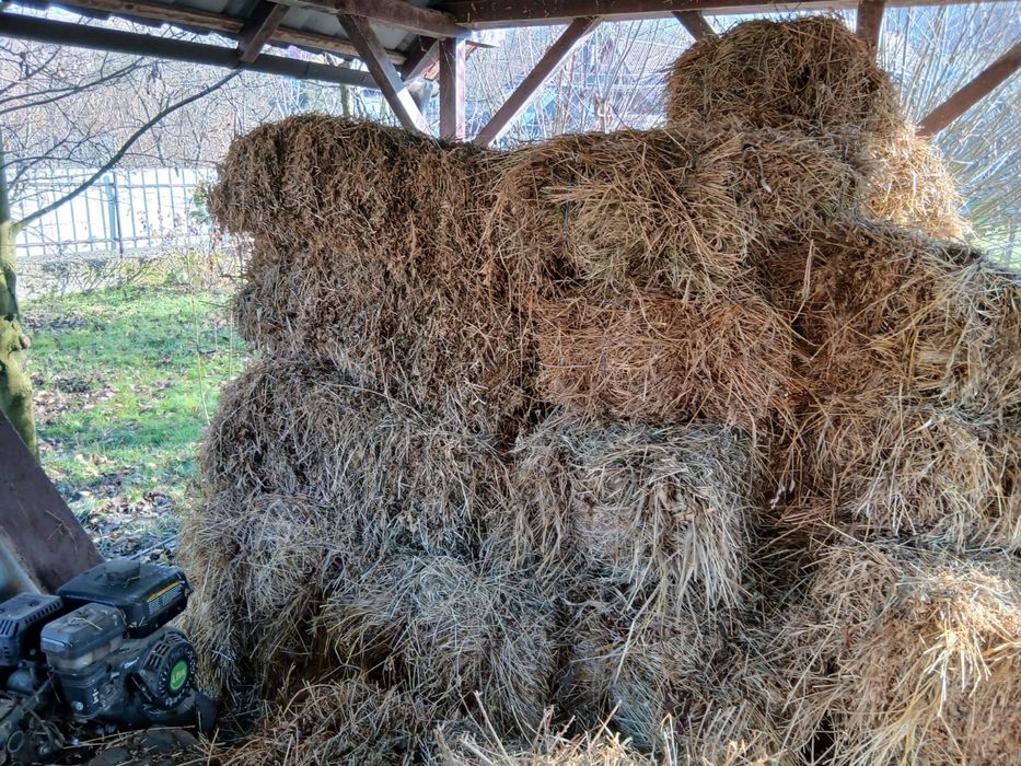 Vând 100 de baloți